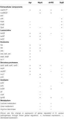 Novel Research Models for Staphylococcus aureus Small Colony Variants (SCV) Development: Co-pathogenesis and Growth Rate